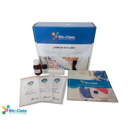 Kit de Biotecnologia escolar: Como se ve el ADN Kit de Biotecnologia escolar: Como se ve el ADN