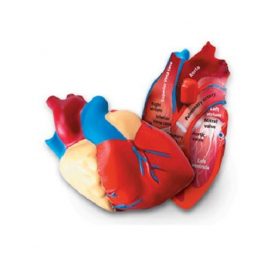 MODELO CORAZON 14CM GOMA LER-1902 MODELO CORAZON 14CM GOMA LER-1902