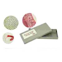 SET LAMINAS MICROSCOPIA HISTOLOGICAS 50 UN.