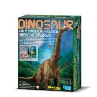 Kidz Labs / Brachiosaurus Skeleton