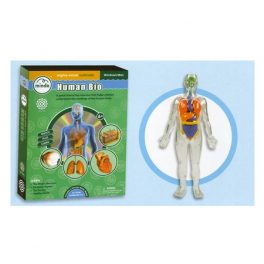 MI CUERPO INTERACTIVO C/CD INGL M688 (12-24) MI CUERPO INTERACTIVO C/CD INGL M688 (12-24)