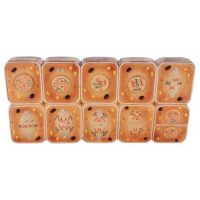 MODELO DIVISION CELULAR ANIMAL MEIOSIS ZM16081
