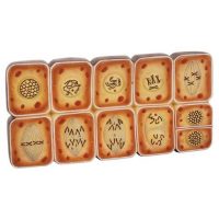 MODELO DIVISION CELULAR ANIMAL MITOSIS ZM0007