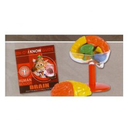 MODELO ARMABLE CEREBRO E2381BR (12-96) MODELO ARMABLE CEREBRO E2381BR (12-96)