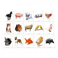 TARJETAS DE INTELIGENCIA-ANIMALES DOMESTICOS EST16