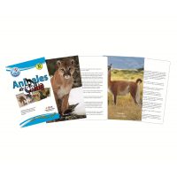 SET 10 LAMINAS ANIMALES DE CHILE 20x30 C/ ESTUCH