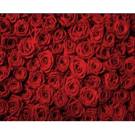 PUZZLE 1000 PCS.MAR DE ROSAS Y-1000-541 PUZZLE 1000 PCS.MAR DE ROSAS Y-1000-541