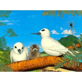 PUZZLE 300 PIEZAS NIDO DE PÁJAROS 411 - ECONOMICOS PUZZLE 300 PIEZAS NIDO DE PÁJAROS 411 - ECONOMICOS
