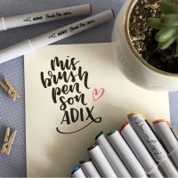 Set de Brush Pen Punta Fina 12 Colores