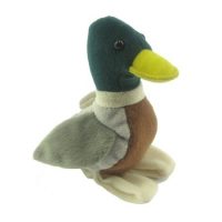 TITERE DEDO GRANDE PATO
