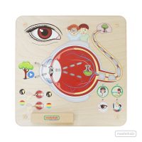 Tablero de pared Sentido de la Vision (ME15808) MASTERKIDZ