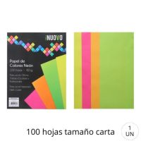 RESMA CARTA 100HJ PAPEL DE COLORES 80GR