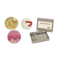 SET LAMINAS MICROSCOPIA DE PROTOZOO Y ALGAS 20 UN.