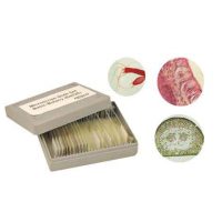 SET LAMINAS MICROSCOPIA DE BOTANICA BASICA 25 UN.