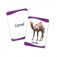 Lamina Animales