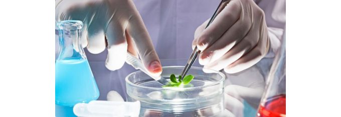 Biologia
