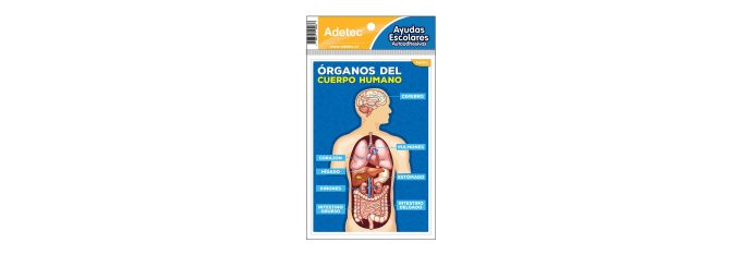 Etiquetas Escolares